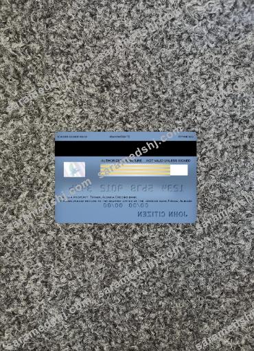 Albania Credins bank visa debit photolook back